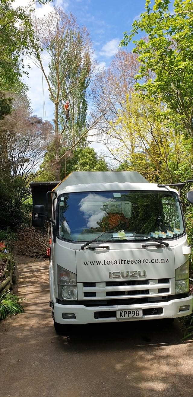 The Total Tree Care branded truck on a Waikato residential driveway, with a climber working in the trees behind